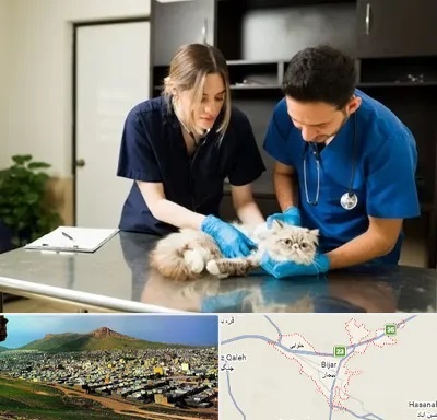 دامپزشکی سیار در بیجار