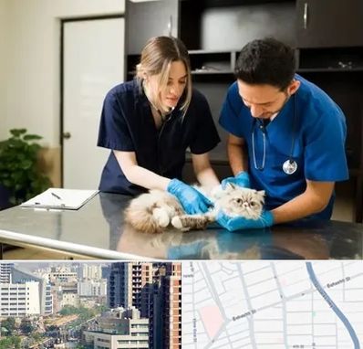 دامپزشکی سیار در خیابان بهشتی