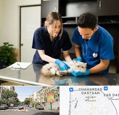 دامپزشکی سیار در چهارصد دستگاه 