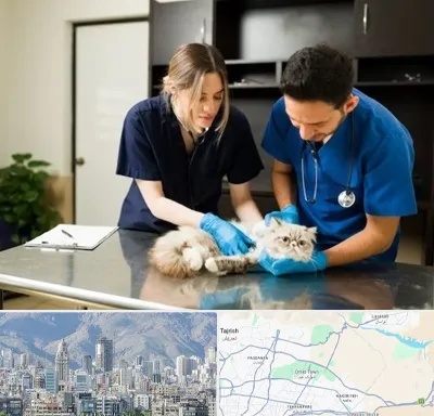 دامپزشکی سیار در شمال شرق تهران