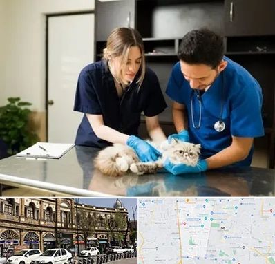 دامپزشکی سیار در منطقه 11 تهران 