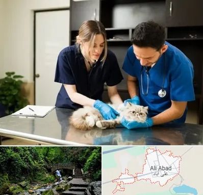 دامپزشکی سیار در علی آباد کتول