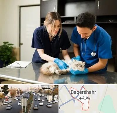 دامپزشکی سیار در باقرشهر