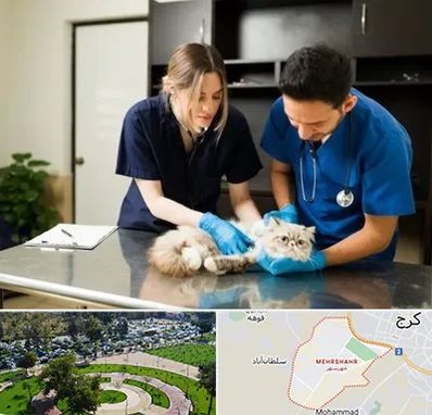 دامپزشکی سیار در مهرشهر کرج 