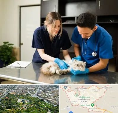 دامپزشکی سیار در شهرکرد