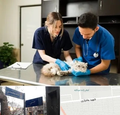 دامپزشکی سیار در سی متری جی