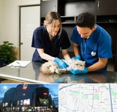 دامپزشکی سیار در بلوار اباذر