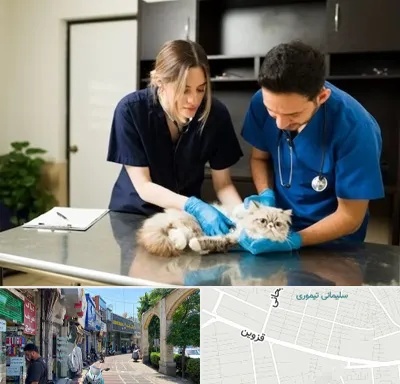 دامپزشکی سیار در خیابان قزوین