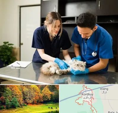 دامپزشکی سیار در کردکوی