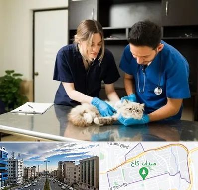 دامپزشکی سیار در سعادت آباد 