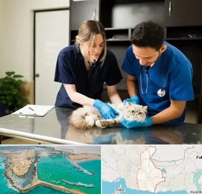 دامپزشکی سیار در سیستان و بلوچستان