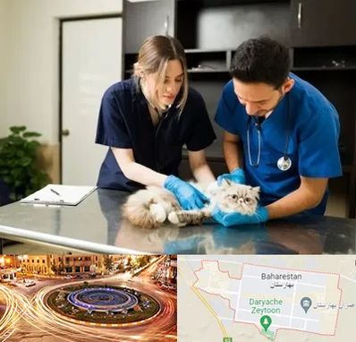 دامپزشکی سیار در بهارستان