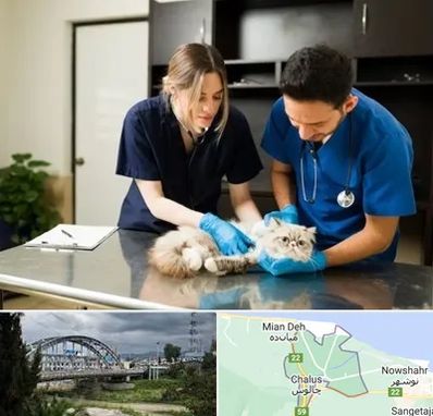 دامپزشکی سیار در چالوس