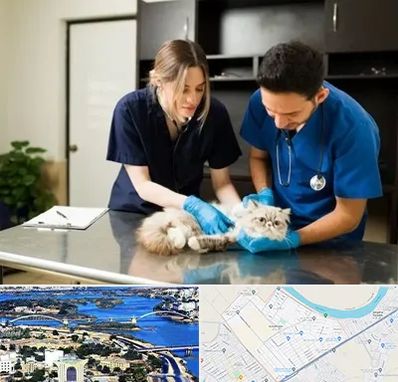 دامپزشکی سیار در کوروش اهواز