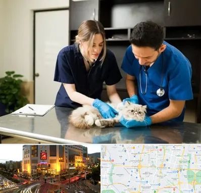 دامپزشکی سیار در جنت آباد تهران 