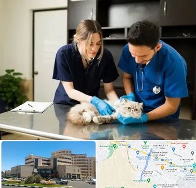 دامپزشکی سیار در صیاد شیرازی مشهد