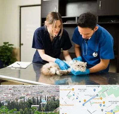 دامپزشکی سیار در محلاتی شیراز