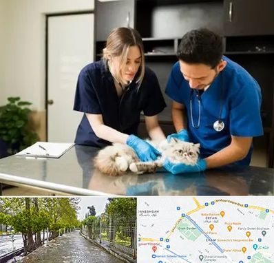 دامپزشکی سیار در خیابان ارم شیراز