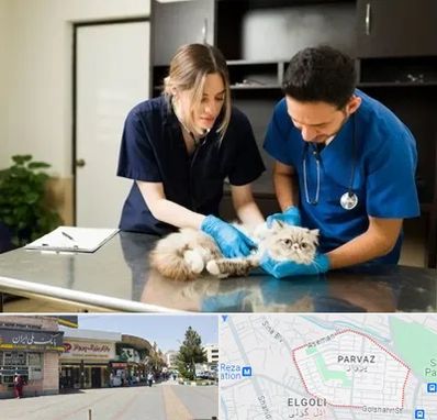 دامپزشکی سیار در پرواز تبریز