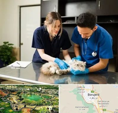 دامپزشکی سیار در بروجرد