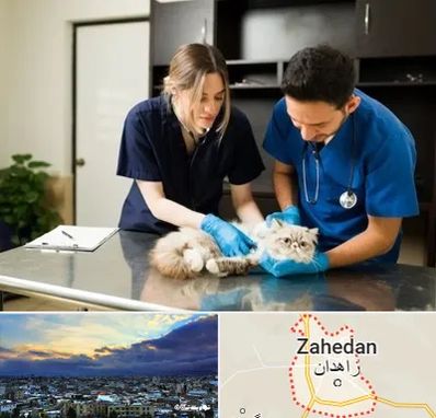 دامپزشکی سیار در زاهدان