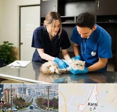 دامپزشکی سیار در گوهردشت کرج 