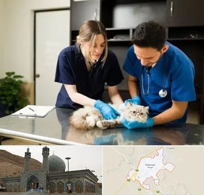 دامپزشکی سیار در شهرضا