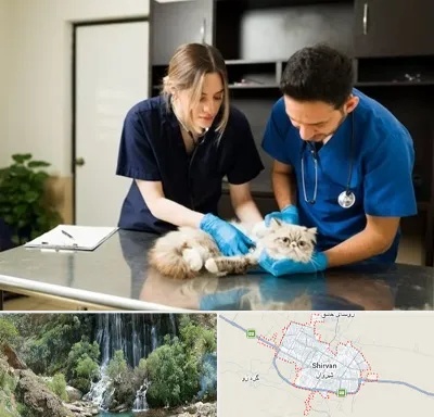 دامپزشکی سیار در شیروان