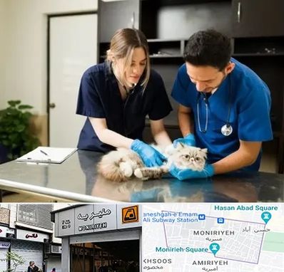 دامپزشکی سیار در منیریه 