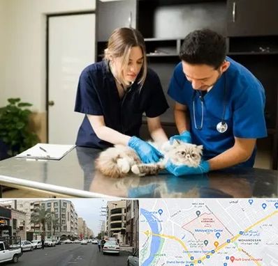 دامپزشکی سیار در زیتون کارمندی اهواز