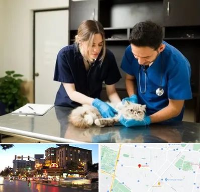 دامپزشکی سیار در بلوار سجاد مشهد 