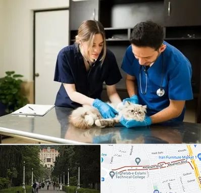 دامپزشکی سیار در بلوار معلم رشت 