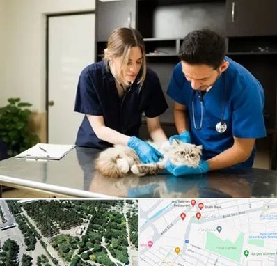 دامپزشکی سیار در سالاریه قم