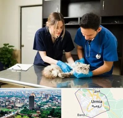 دامپزشکی سیار در ارومیه