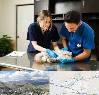 دامپزشکی سیار در رودهن