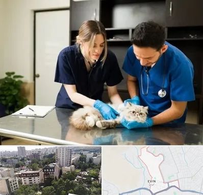 دامپزشکی سیار در اوین