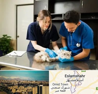 دامپزشکی سیار در اسلامشهر