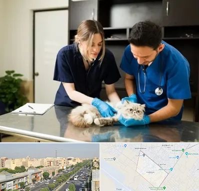 دامپزشکی سیار در کیانمهر کرج