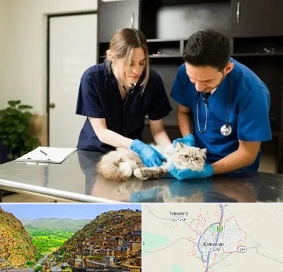 دامپزشکی سیار در کامیاران