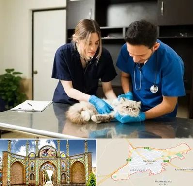 دامپزشکی سیار در سمنان