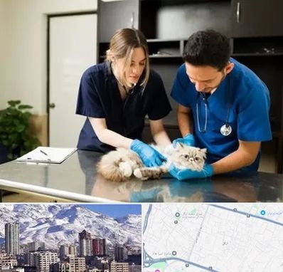 دامپزشکی سیار در ازگل