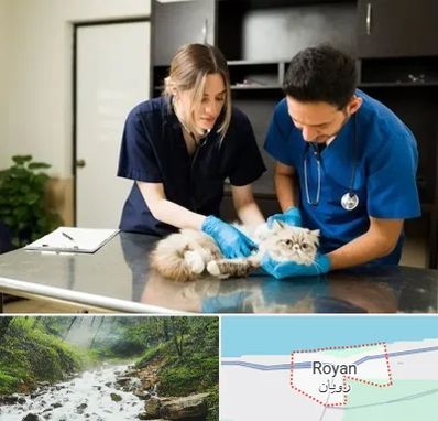 دامپزشکی سیار در رویان