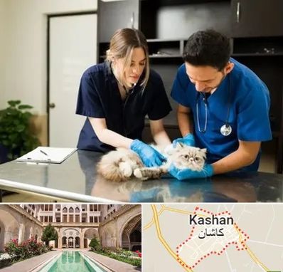 دامپزشکی سیار در کاشان