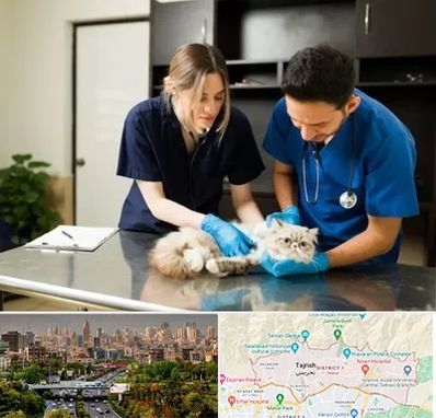 دامپزشکی سیار در منطقه 1 تهران 
