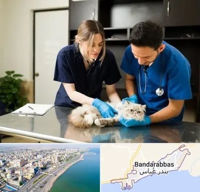 دامپزشکی سیار در بندرعباس