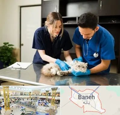 دامپزشکی سیار در بانه