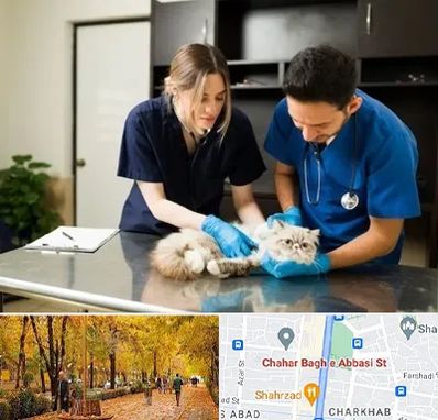 دامپزشکی سیار در چهارباغ اصفهان