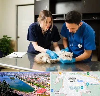 دامپزشکی سیار در لاهیجان