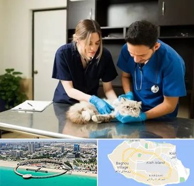 دامپزشکی سیار در کیش