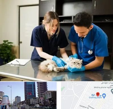 دامپزشکی سیار در چهارراه طالقانی کرج